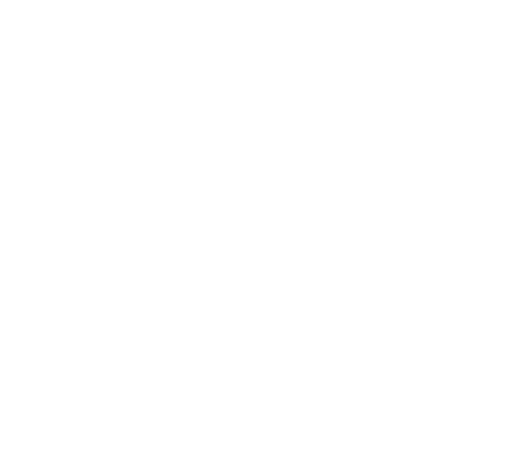 True North Events logo