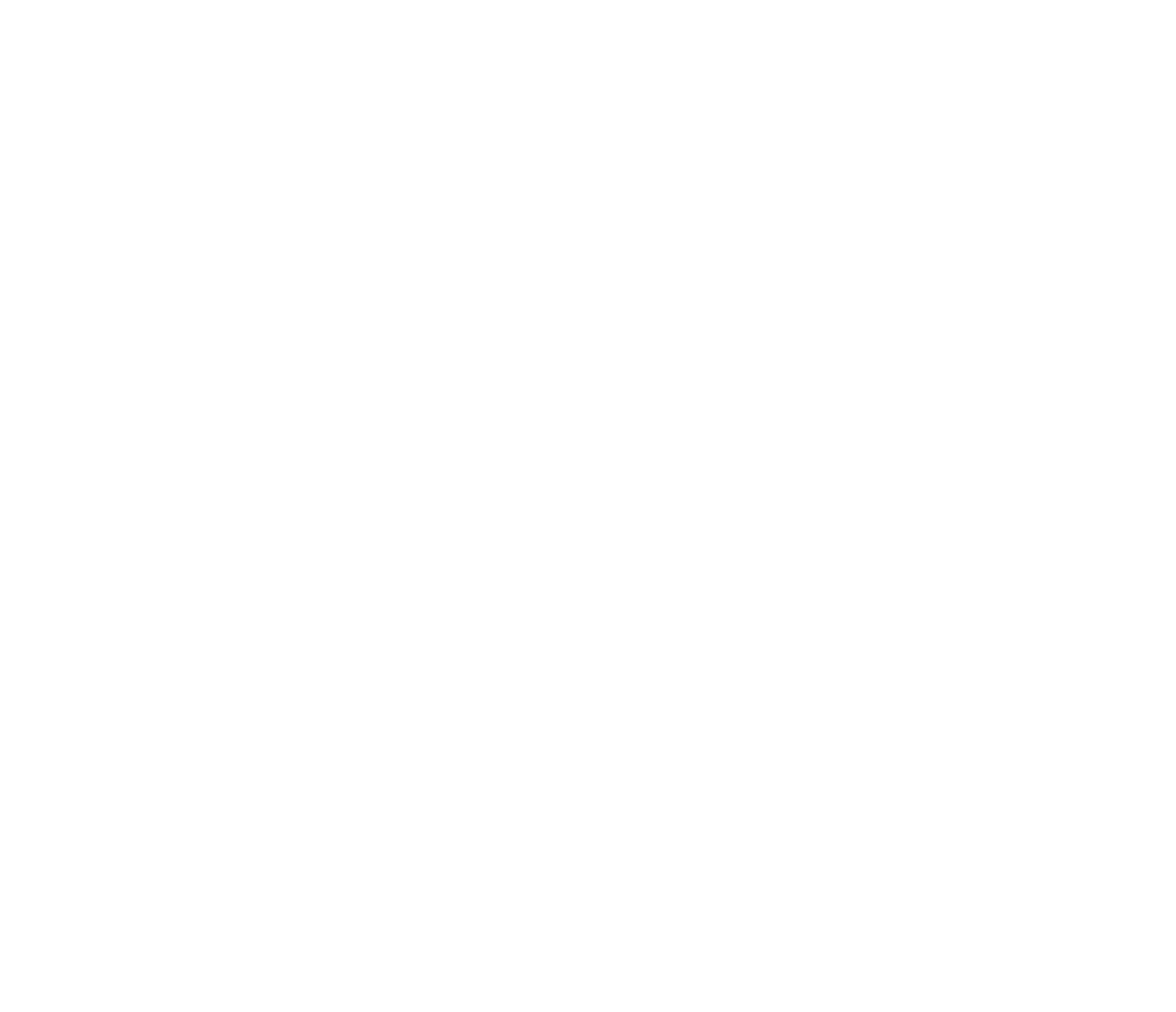 True North Events logo