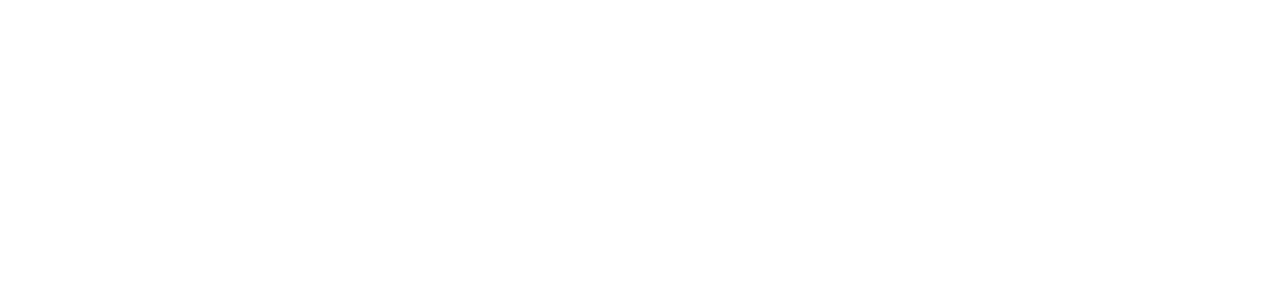 True North Events
